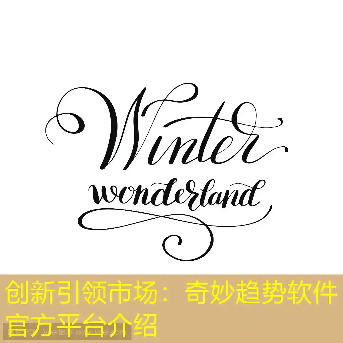 创新引领市场：奇妙趋势软件官方平台介绍