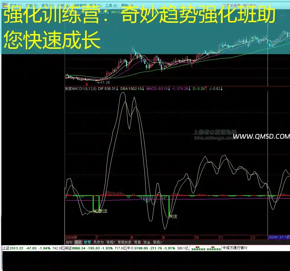 强化训练营：奇妙趋势强化班助您快速成长