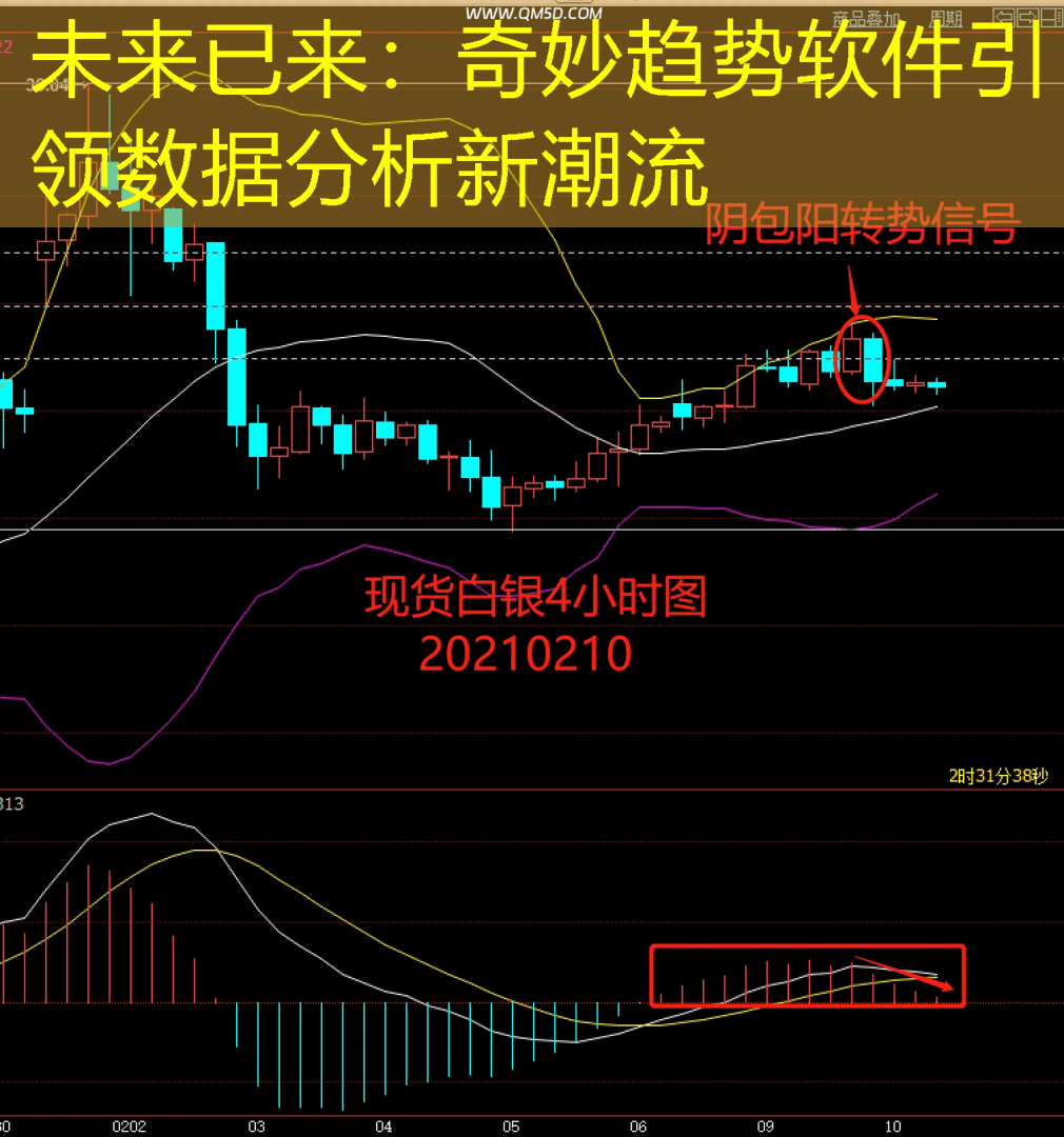 未来已来：奇妙趋势软件引领数据分析新潮流