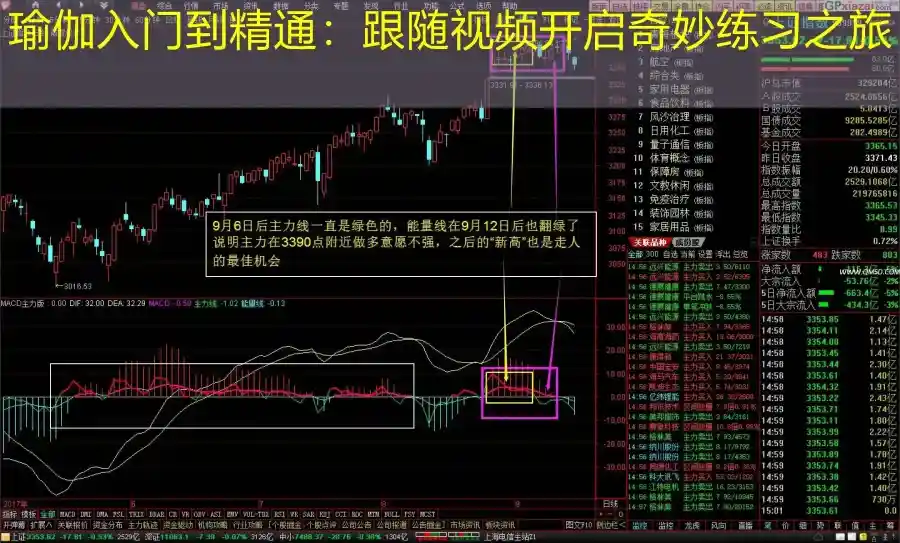瑜伽入门到精通：跟随视频开启奇妙练习之旅
