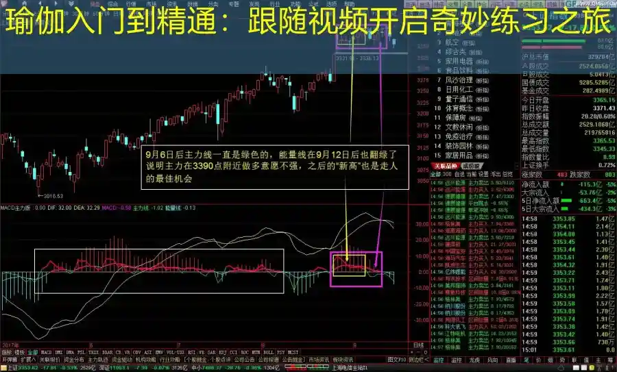 瑜伽入门到精通：跟随视频开启奇妙练习之旅