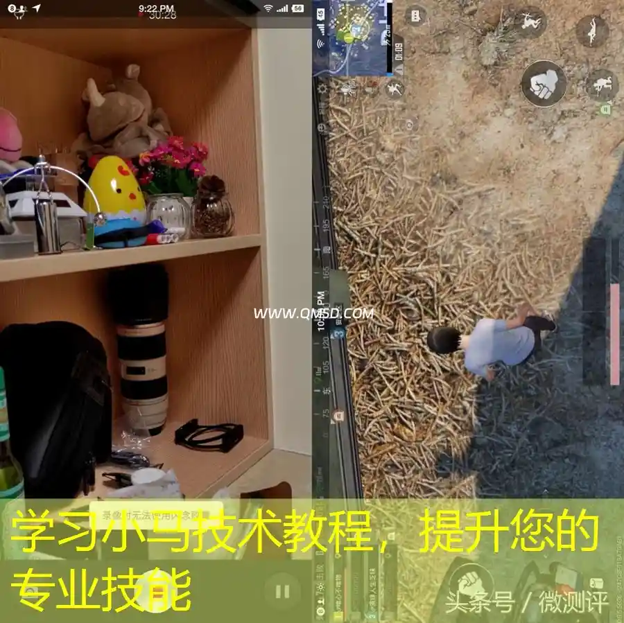 学习小马技术教程，提升您的专业技能