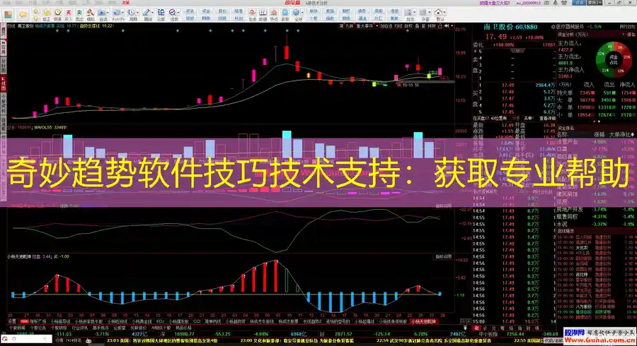 奇妙趋势软件技巧技术支持：获取专业帮助