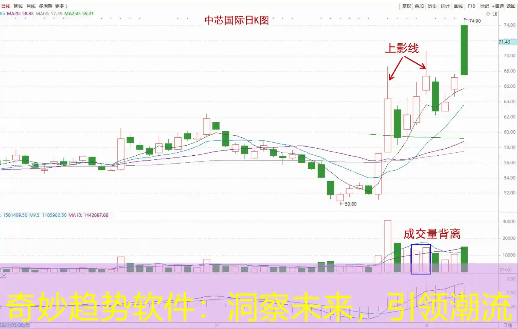 奇妙趋势软件：洞察未来，引领潮流