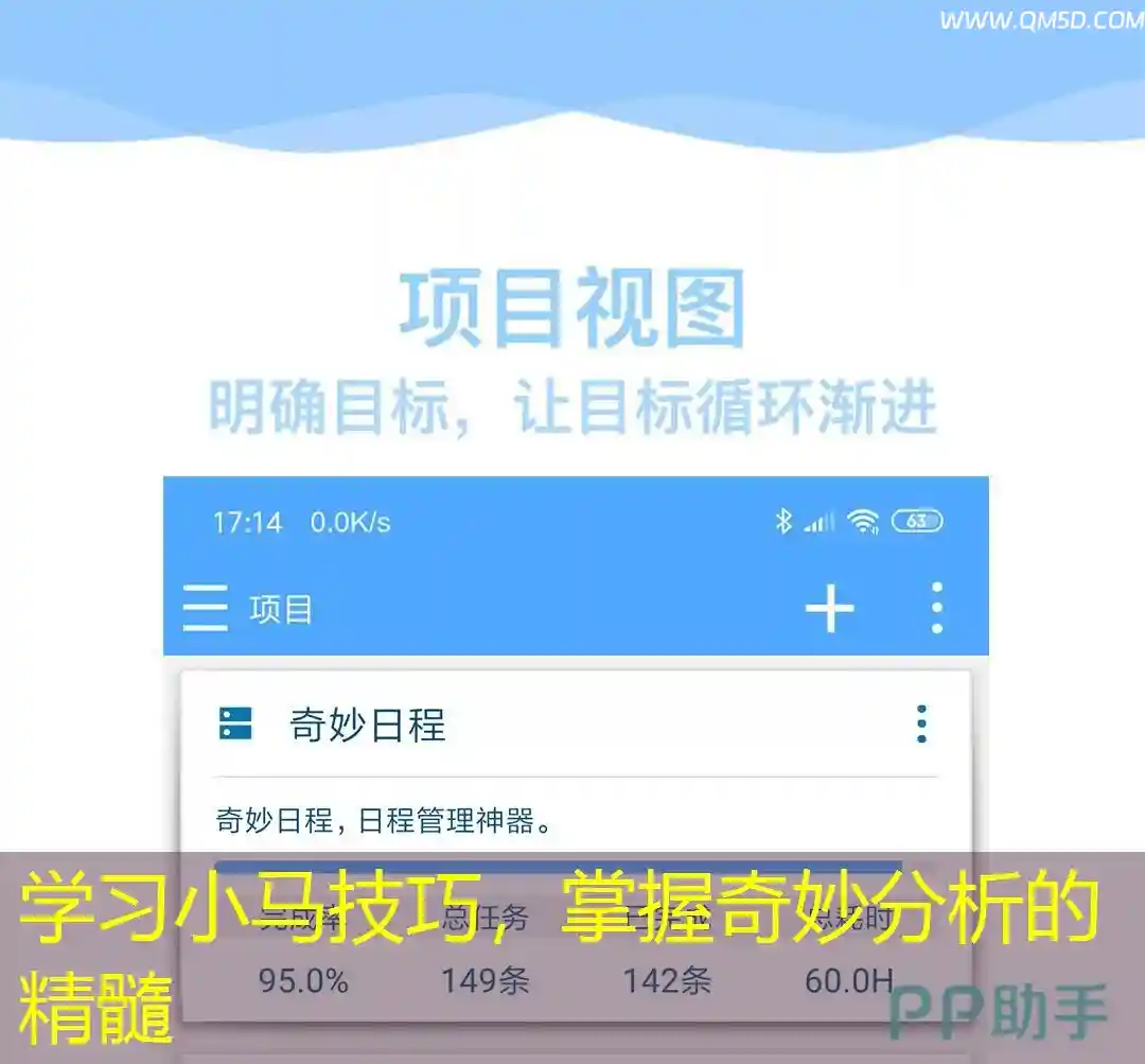 学习小马技巧，掌握奇妙分析的精髓