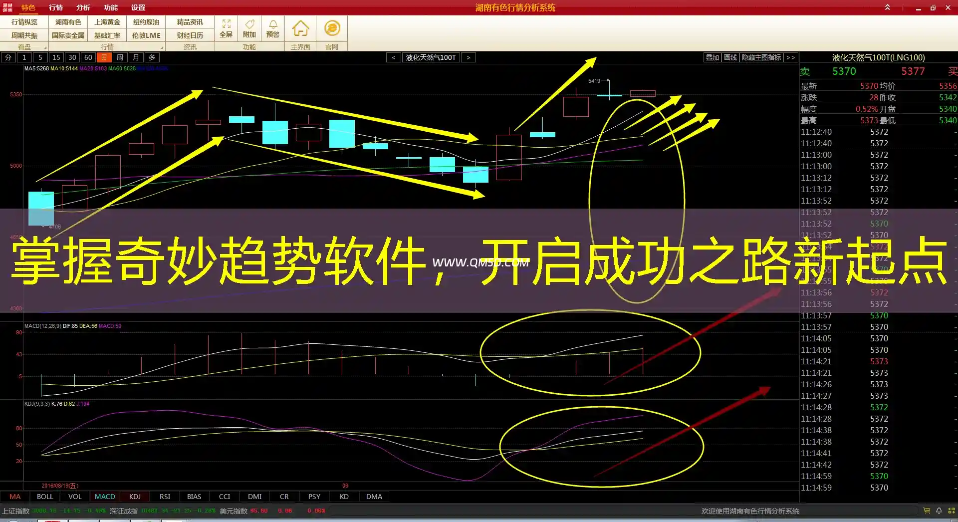掌握奇妙趋势软件，开启成功之路新起点