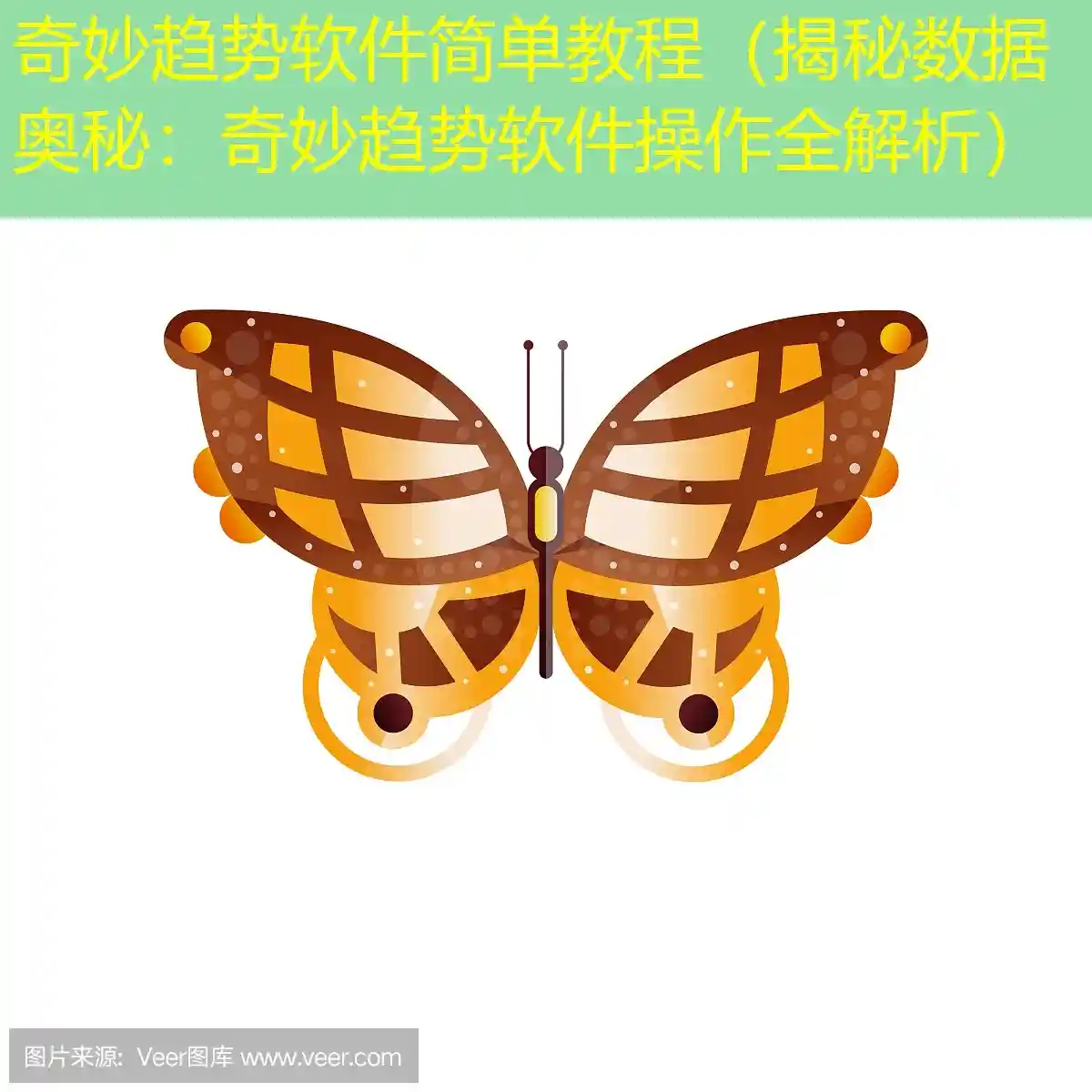 奇妙趋势软件简单教程（揭秘数据奥秘：奇妙趋势软件操作全解析）