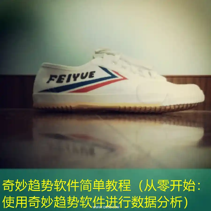 奇妙趋势软件简单教程（从零开始：使用奇妙趋势软件进行数据分析）