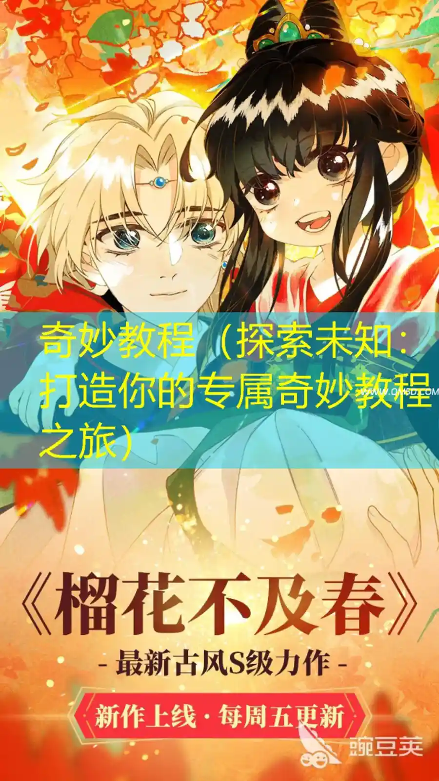 奇妙教程（探索未知：打造你的专属奇妙教程之旅）