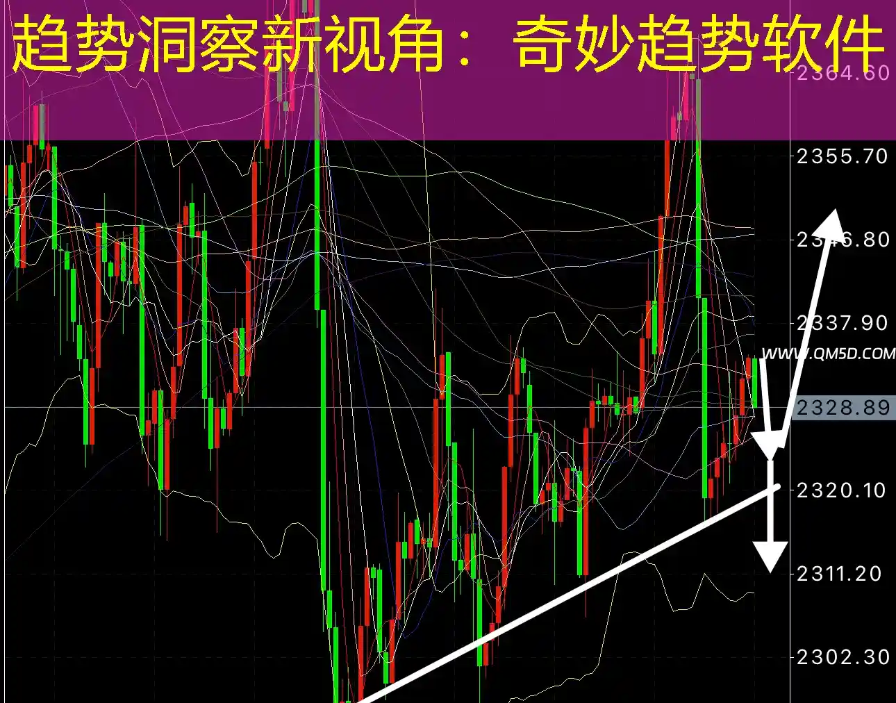 趋势洞察新视角：奇妙趋势软件