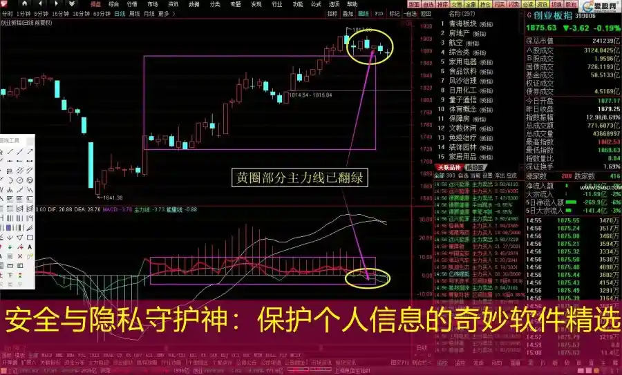 安全与隐私守护神：保护个人信息的奇妙软件精选