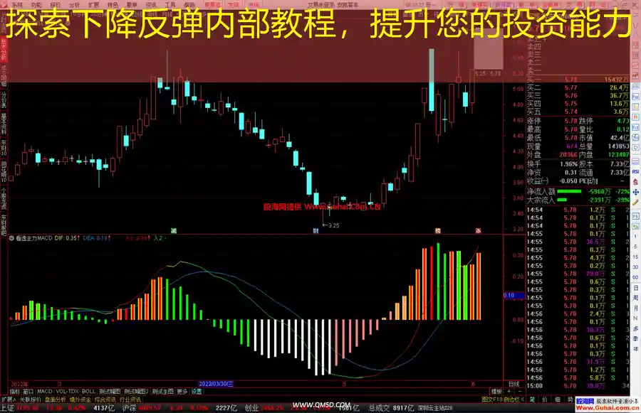探索下降反弹内部教程，提升您的投资能力