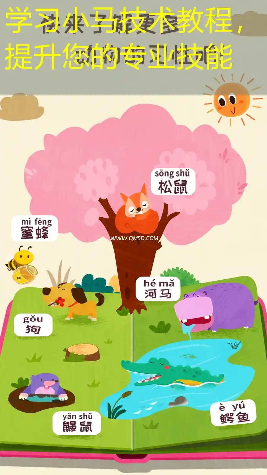 学习小马技术教程，提升您的专业技能