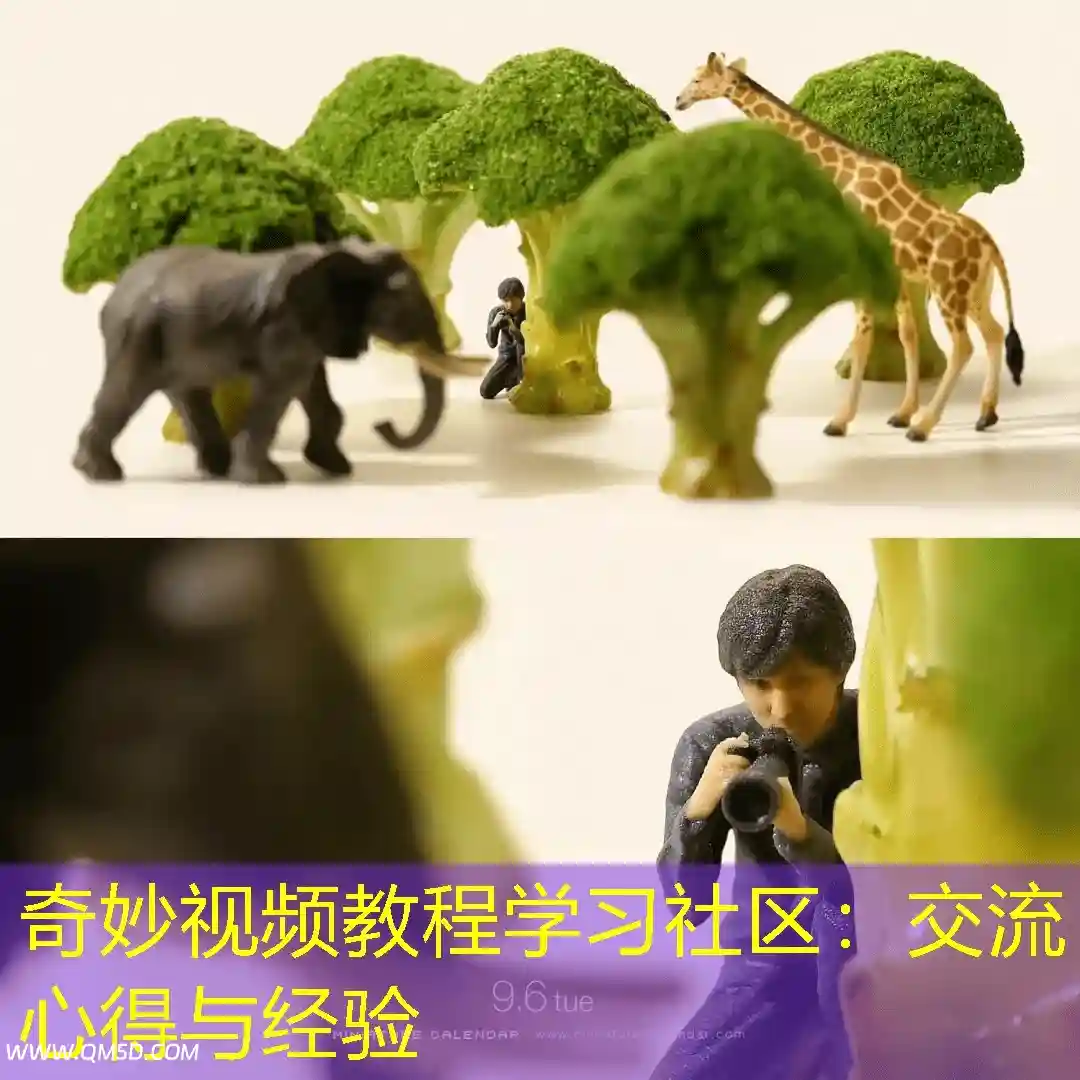 奇妙视频教程学习社区：交流心得与经验