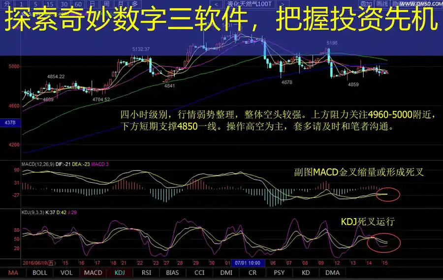 探索奇妙数字三软件，把握投资先机