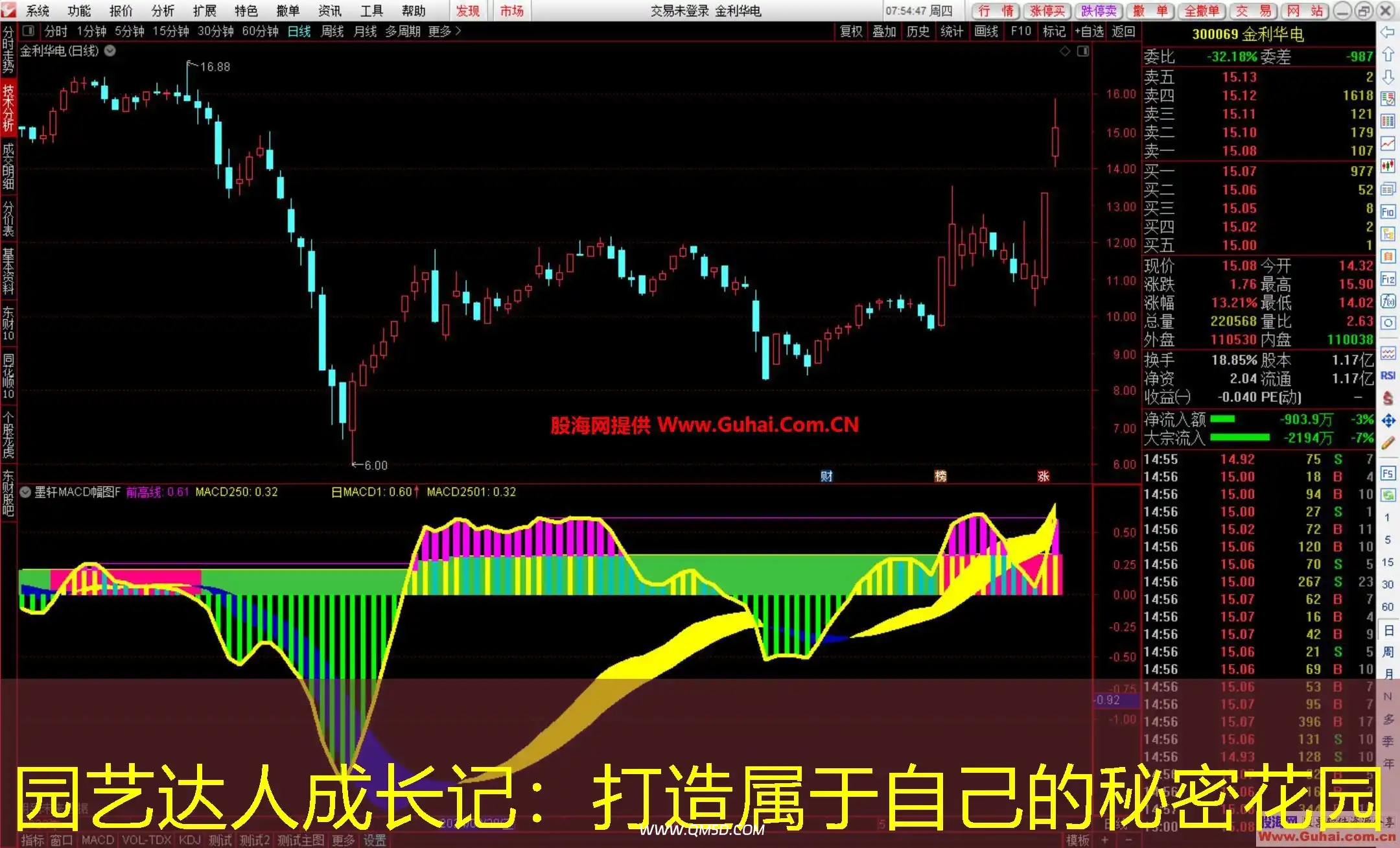 园艺达人成长记：打造属于自己的秘密花园