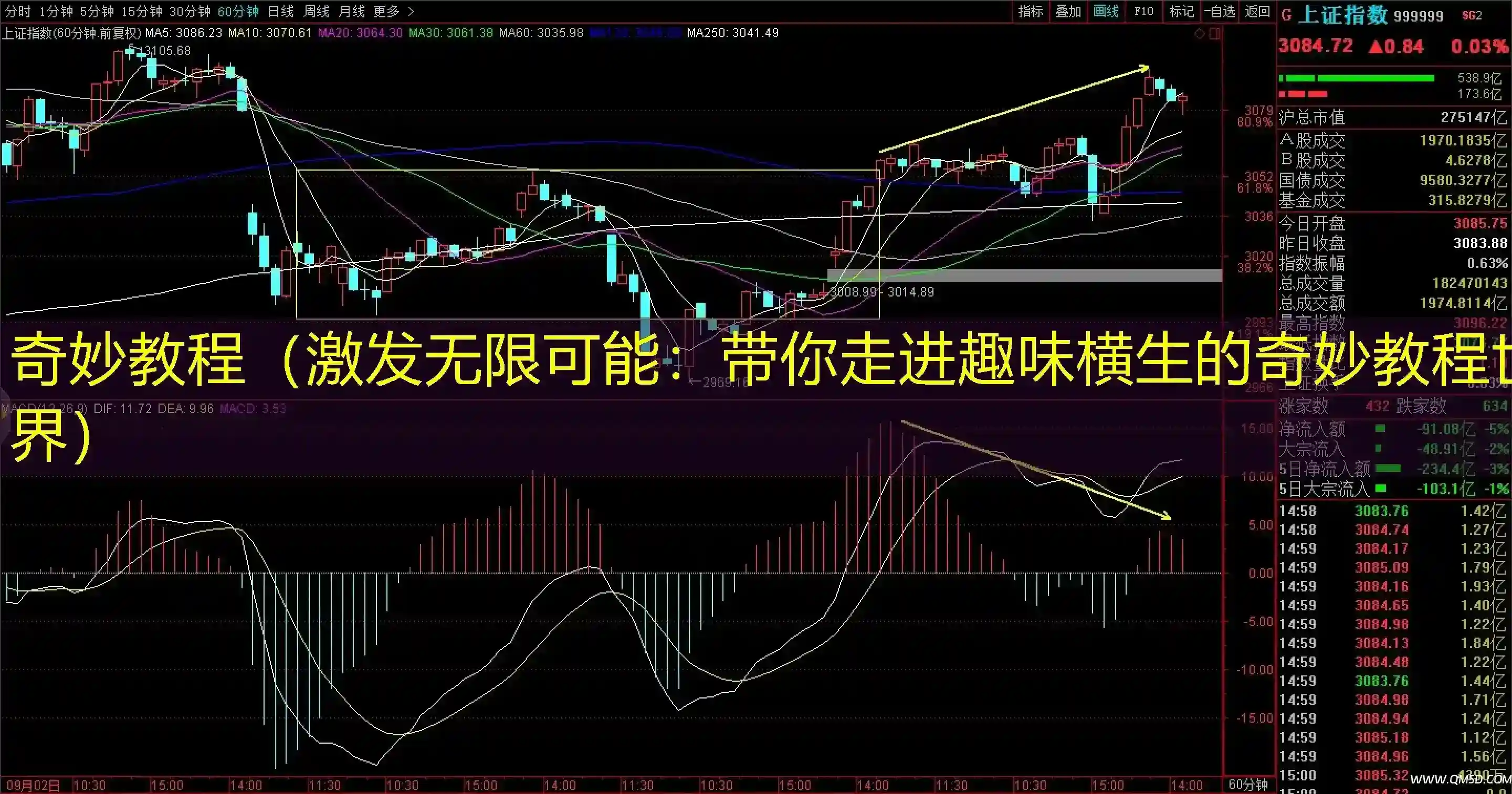 奇妙教程（激发无限可能：带你走进趣味横生的奇妙教程世界）