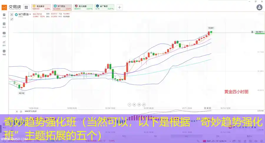 奇妙趋势强化班（当然可以，以下是根据“奇妙趋势强化班”主题拓展的五个）