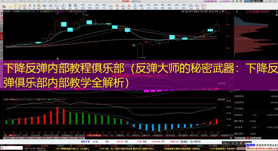 下降反弹内部教程俱乐部（反弹大师的秘密武器：下降反弹俱乐部内部教学全解析）