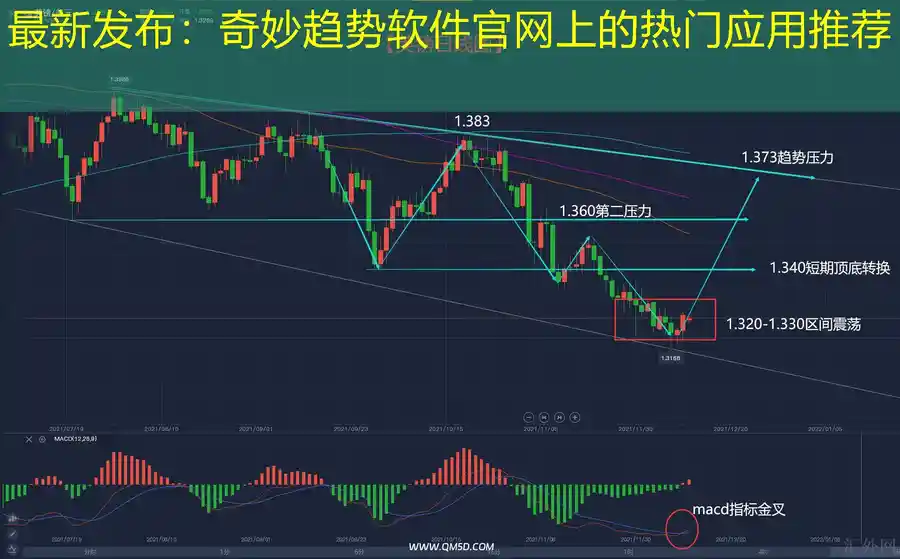 最新发布：奇妙趋势软件官网上的热门应用推荐