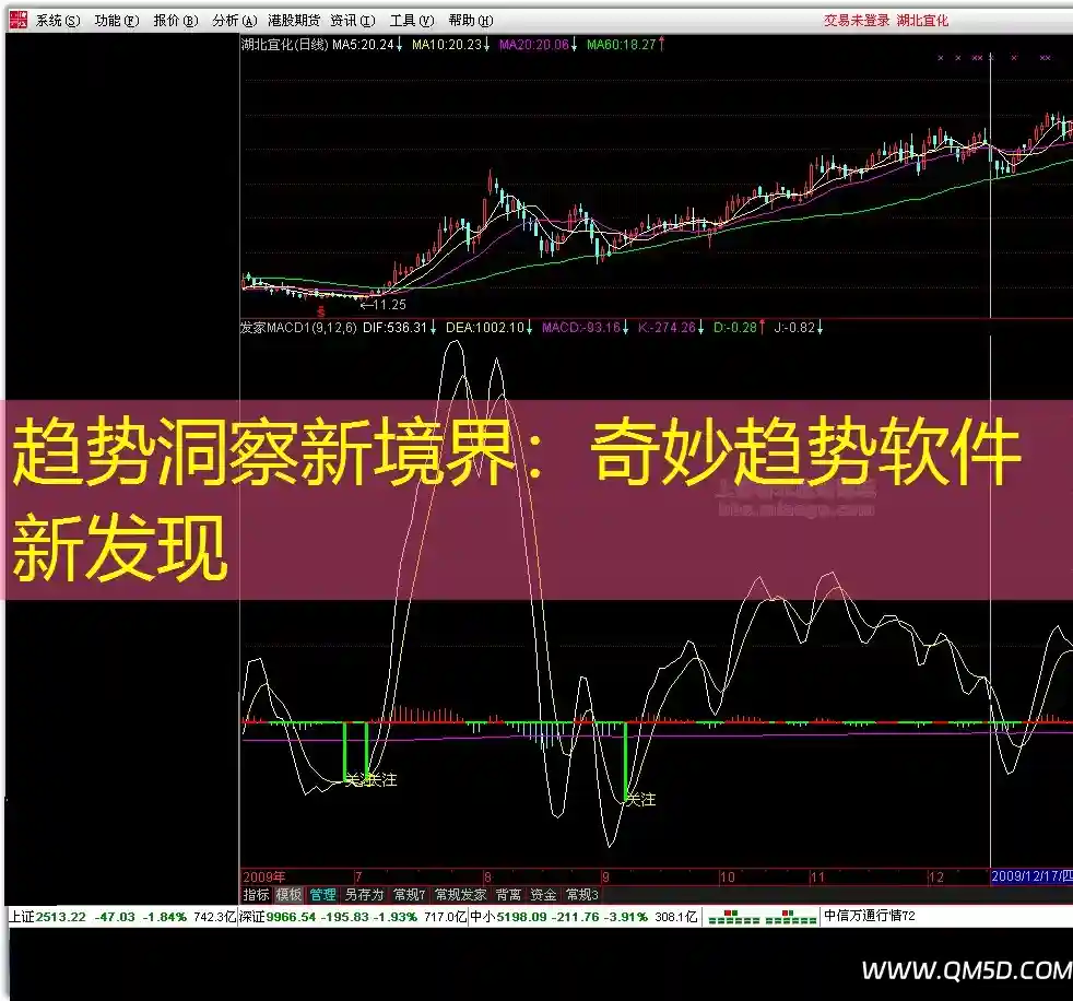 趋势洞察新境界：奇妙趋势软件新发现