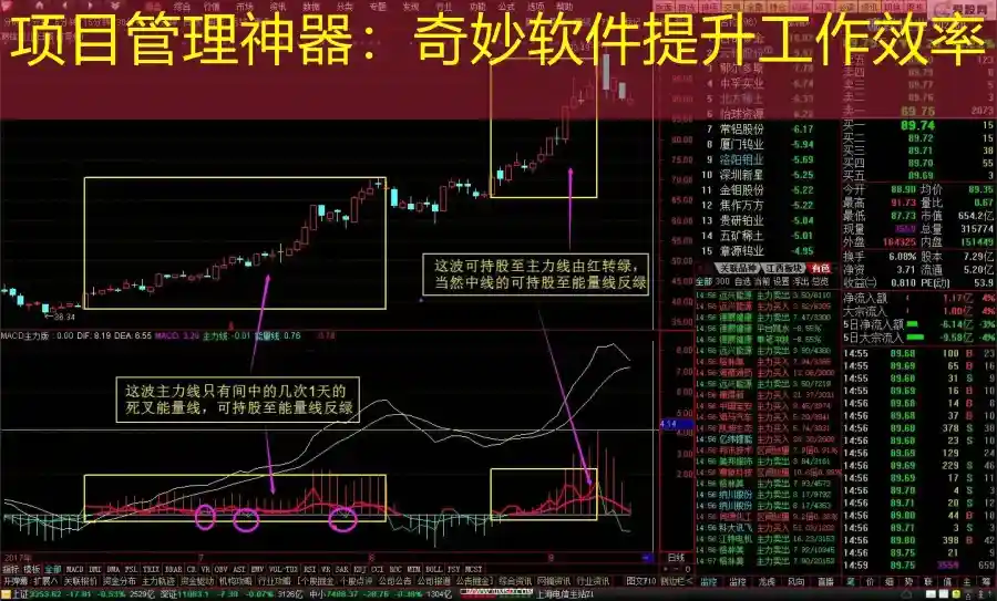 项目管理神器：奇妙软件提升工作效率