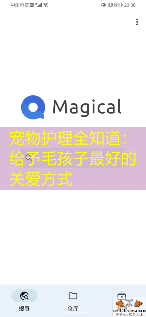 宠物护理全知道：给予毛孩子最好的关爱方式