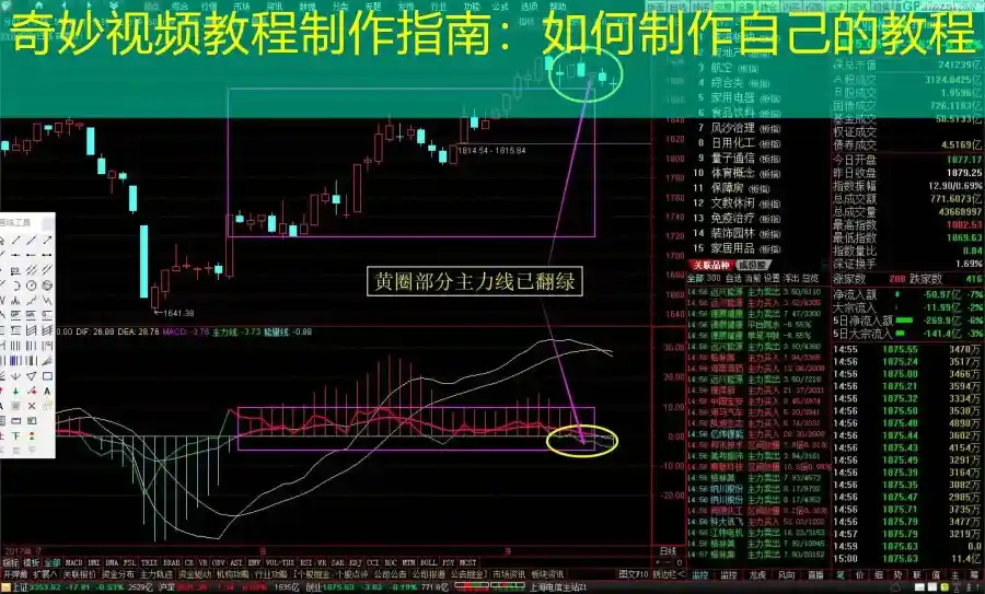奇妙视频教程制作指南：如何制作自己的教程