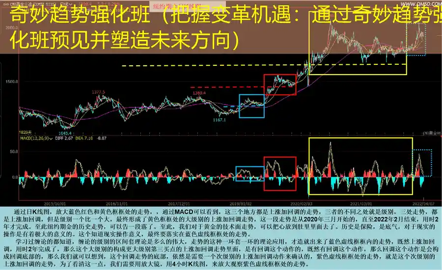 奇妙趋势强化班（把握变革机遇：通过奇妙趋势强化班预见并塑造未来方向）