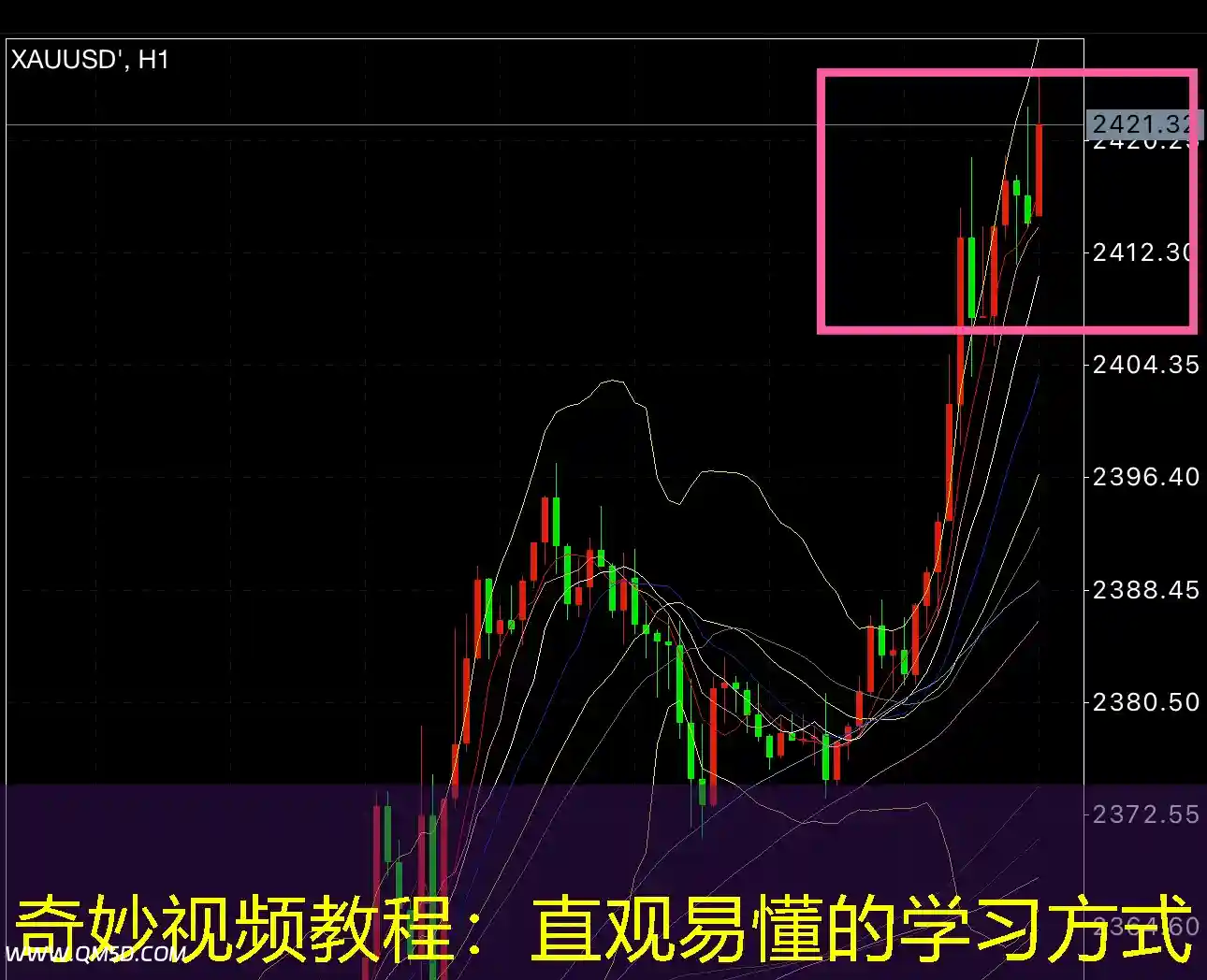奇妙视频教程：直观易懂的学习方式