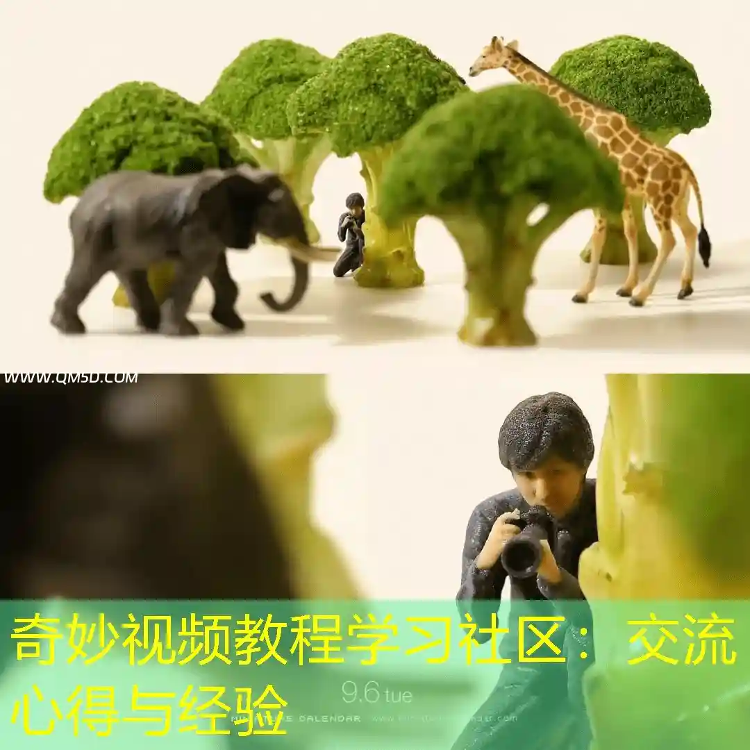 奇妙视频教程学习社区：交流心得与经验