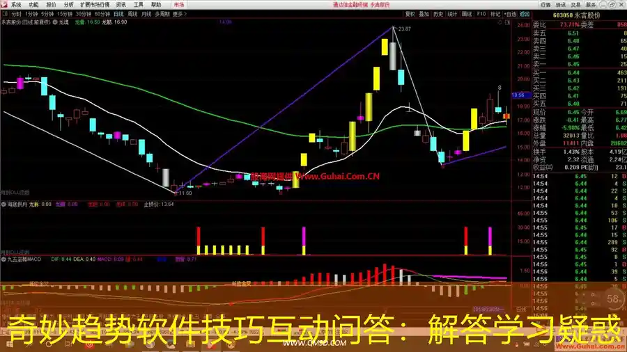 奇妙趋势软件技巧互动问答：解答学习疑惑