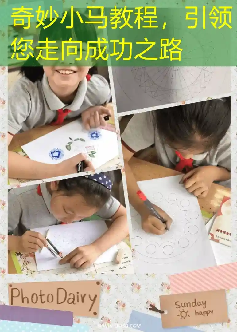 奇妙小马教程，引领您走向成功之路