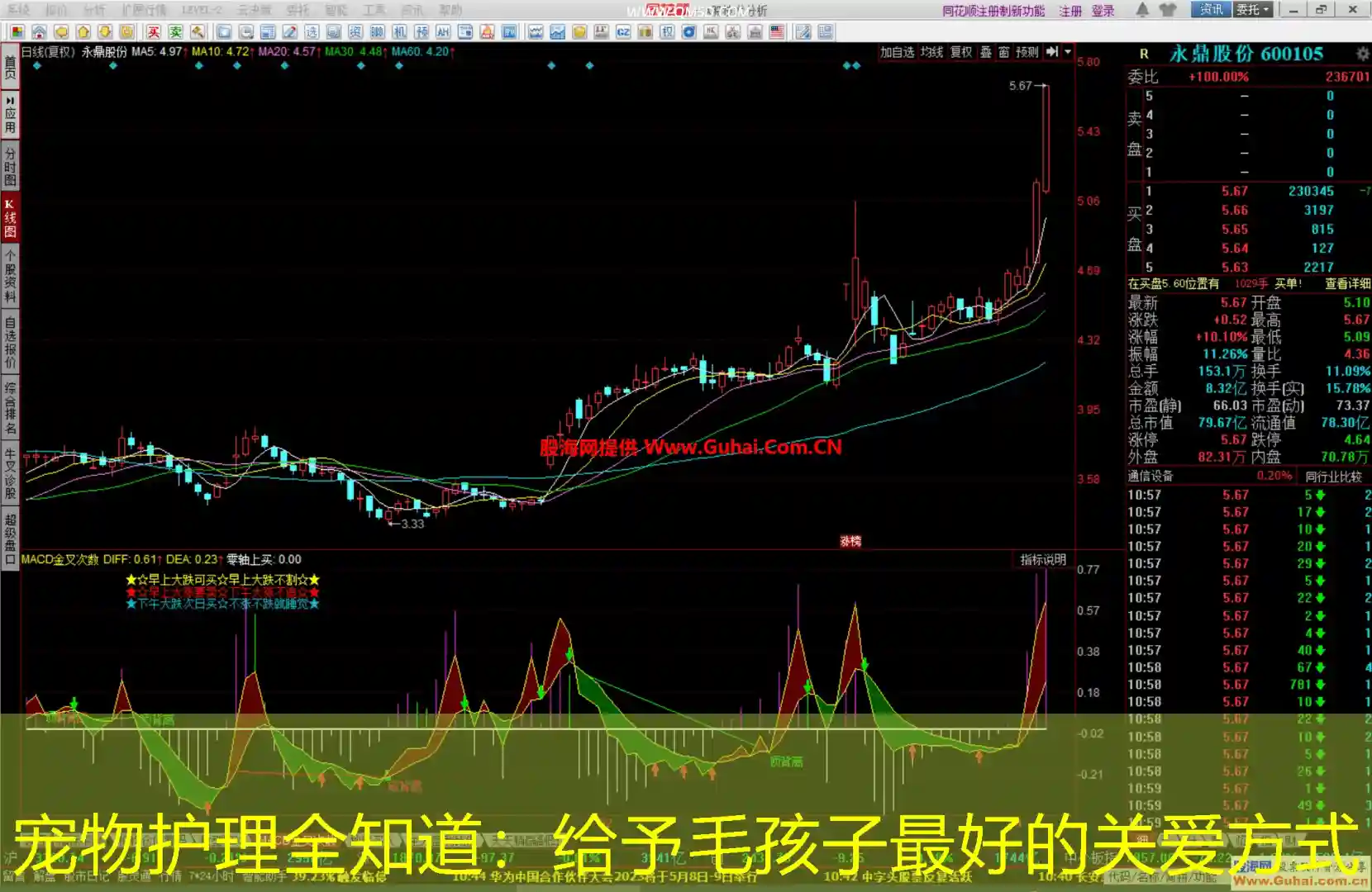宠物护理全知道：给予毛孩子最好的关爱方式
