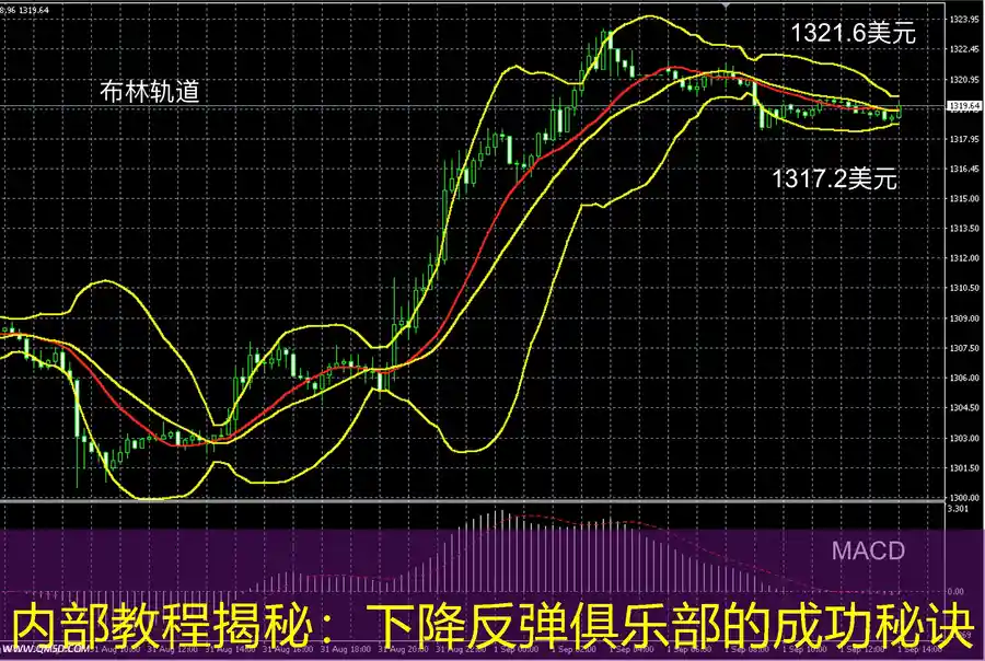内部教程揭秘：下降反弹俱乐部的成功秘诀