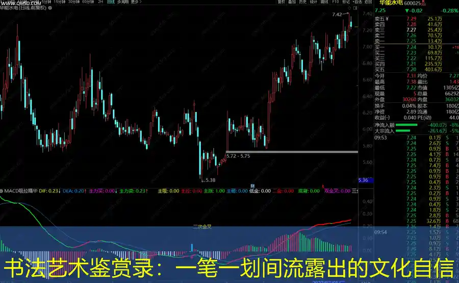 书法艺术鉴赏录：一笔一划间流露出的文化自信