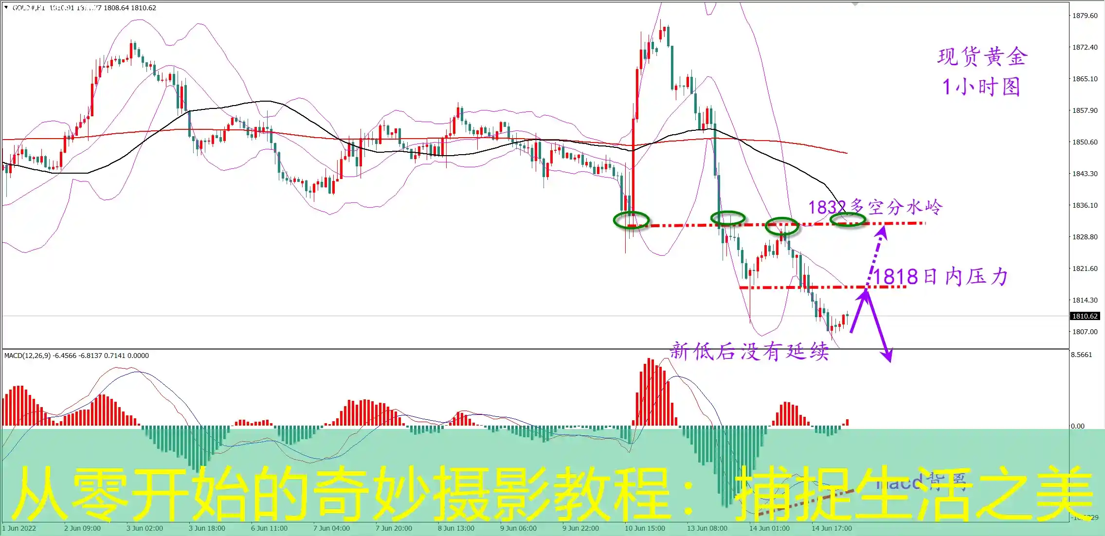 从零开始的奇妙摄影教程：捕捉生活之美