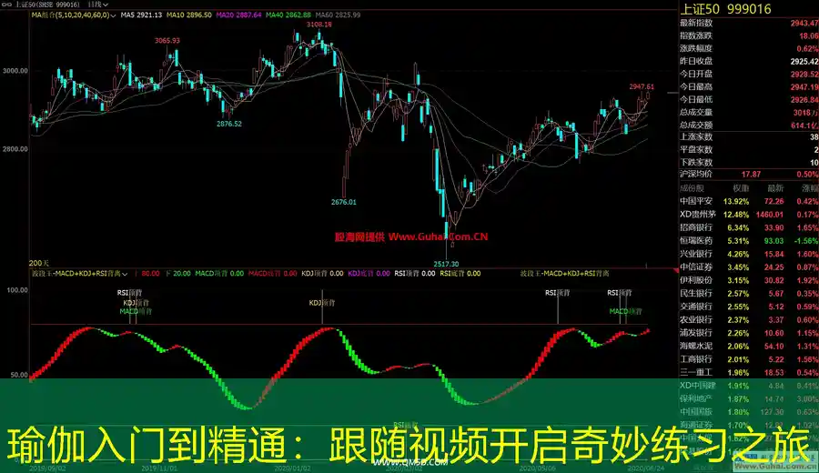 瑜伽入门到精通：跟随视频开启奇妙练习之旅