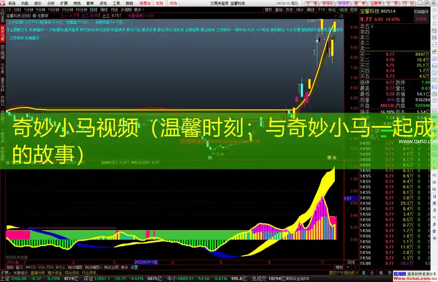 奇妙小马视频（温馨时刻：与奇妙小马一起成长的故事）