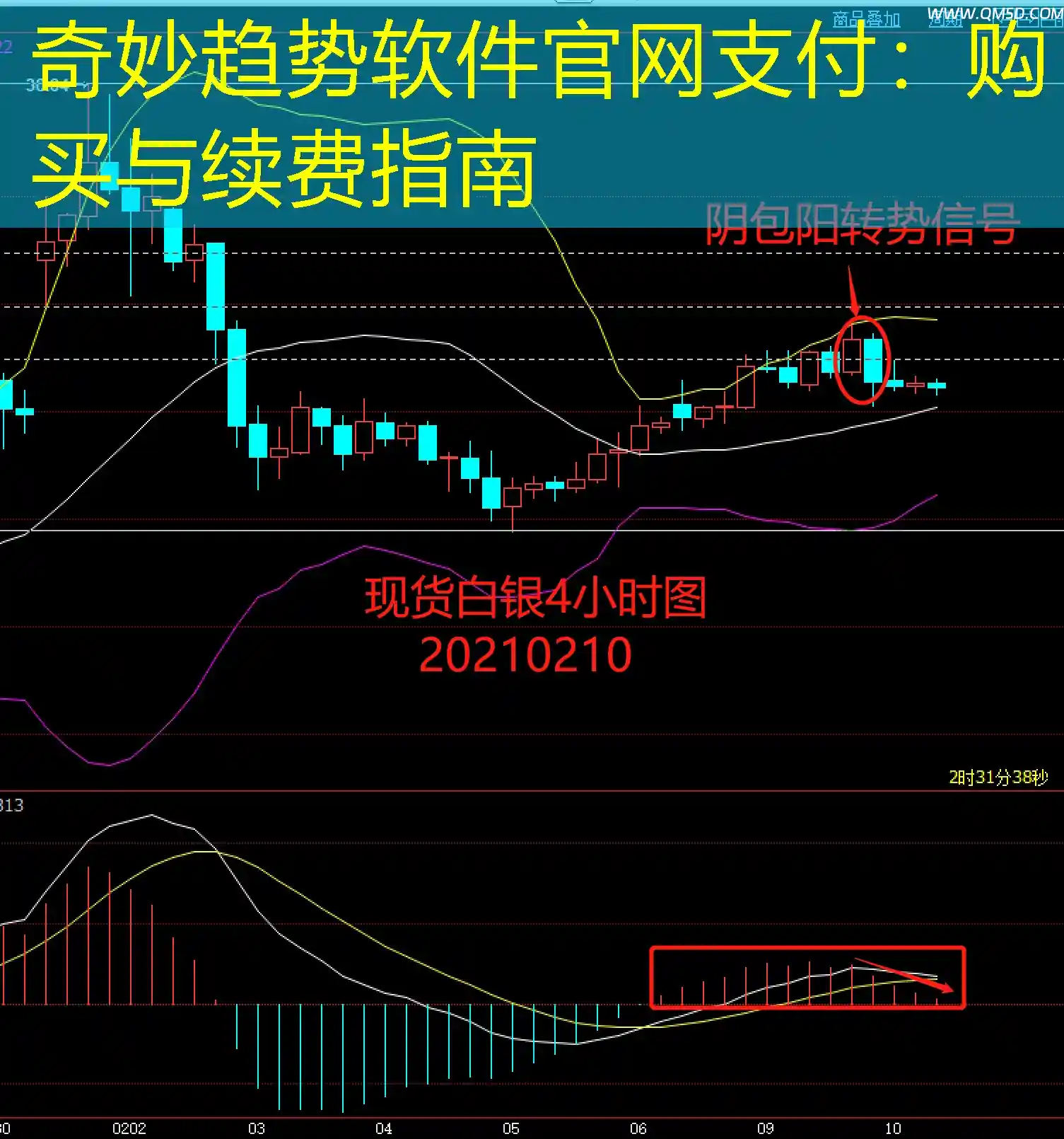 奇妙趋势软件官网支付：购买与续费指南