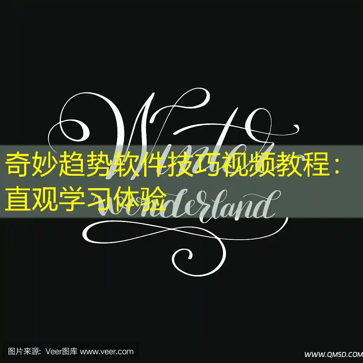 奇妙趋势软件技巧视频教程：直观学习体验