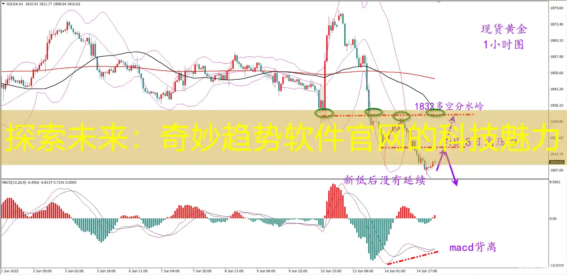 探索未来：奇妙趋势软件官网的科技魅力