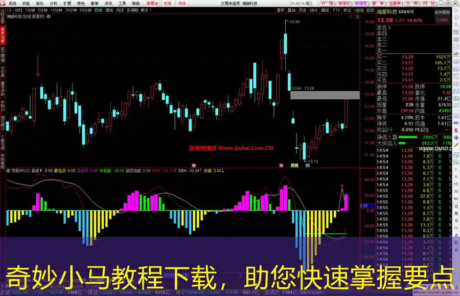 奇妙小马教程下载，助您快速掌握要点