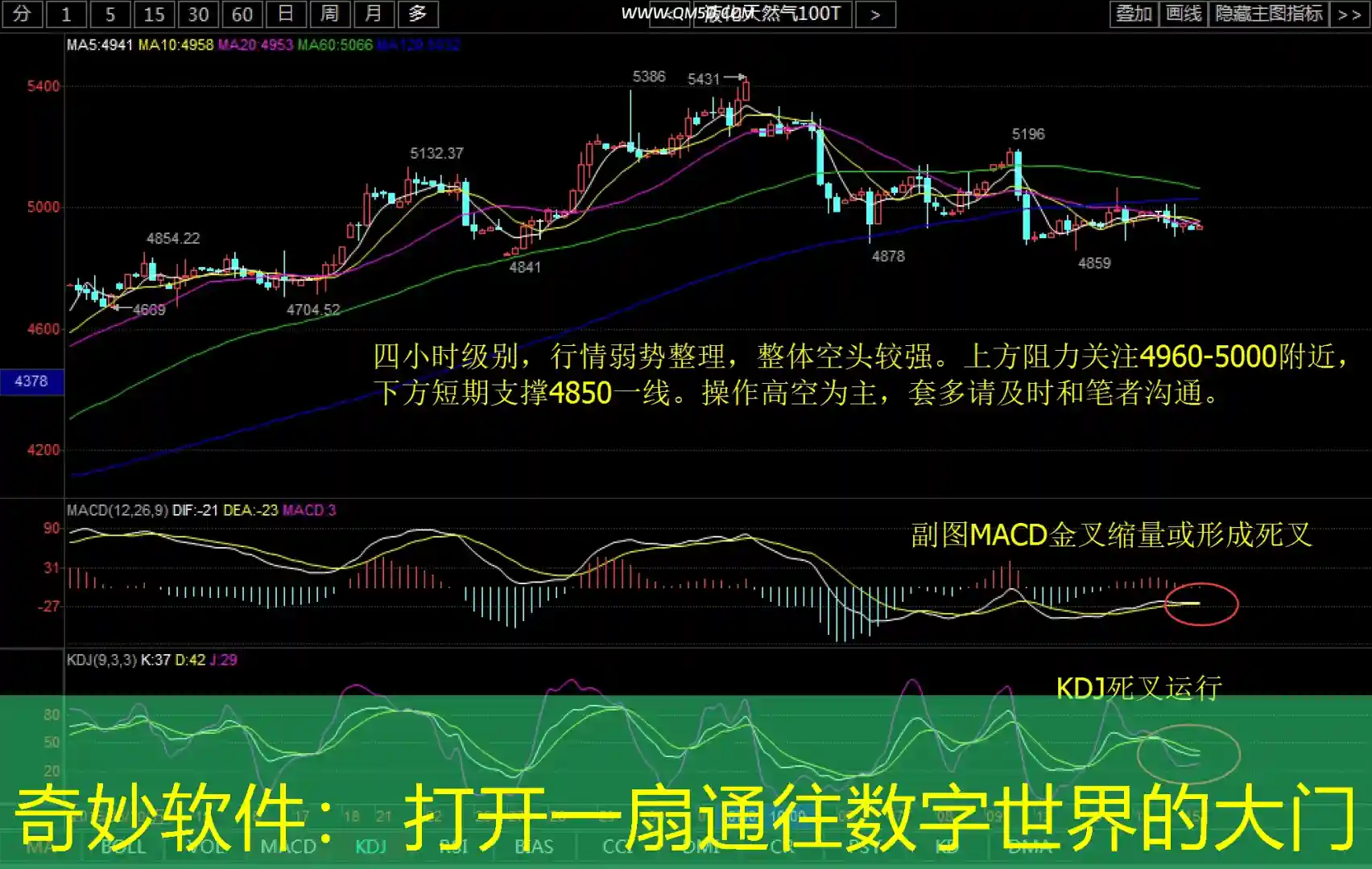 奇妙软件： 打开一扇通往数字世界的大门