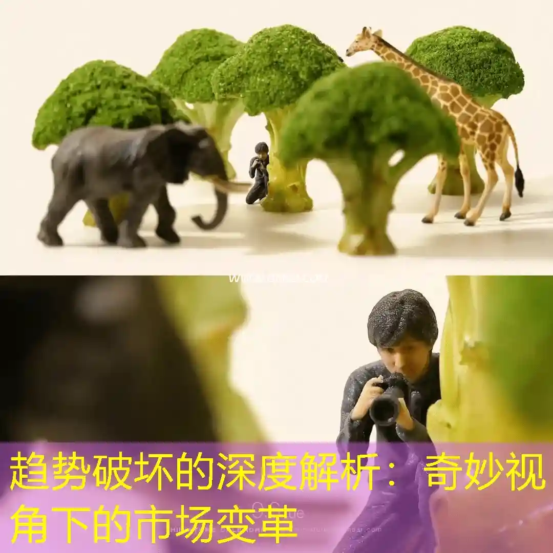 趋势破坏的深度解析：奇妙视角下的市场变革