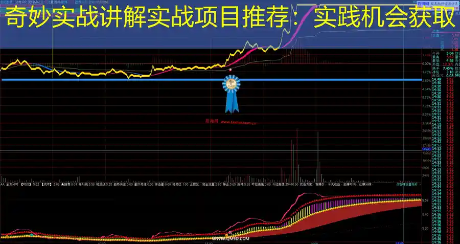 奇妙实战讲解实战项目推荐：实践机会获取
