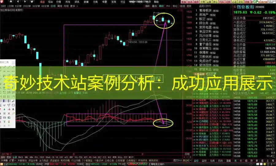 奇妙技术站案例分析：成功应用展示