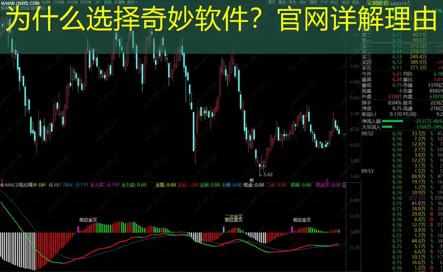 为什么选择奇妙软件？官网详解理由