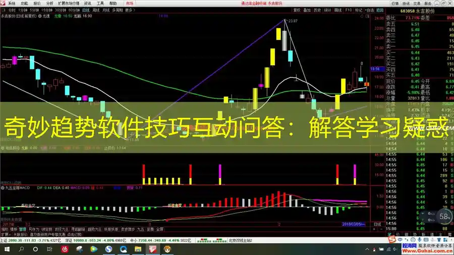 奇妙趋势软件技巧互动问答：解答学习疑惑