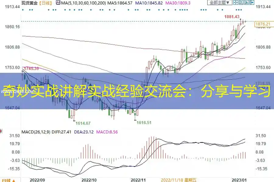 奇妙实战讲解实战经验交流会：分享与学习